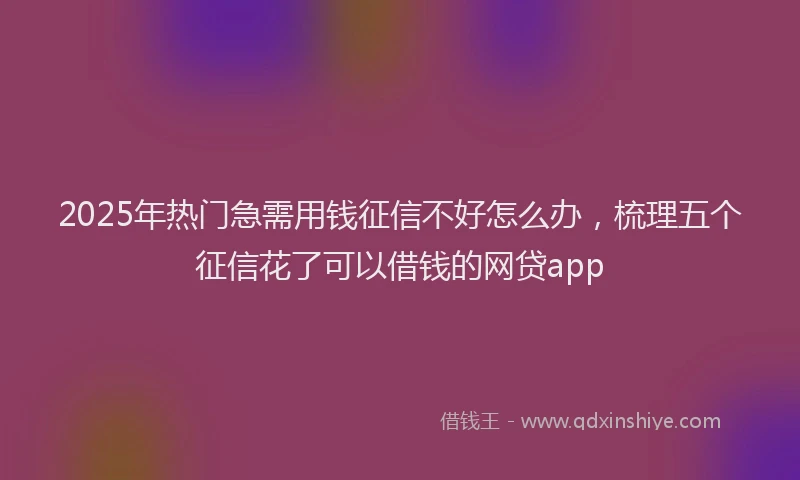 2025年热门急需用钱征信不好怎么办，梳理五个征信花了可以借钱的网贷app