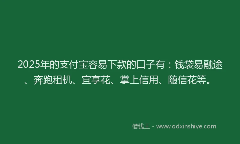 2025年的支付宝容易下款的口子有：钱袋易融途、奔跑租机、宜享花、掌上信用、随信花等。