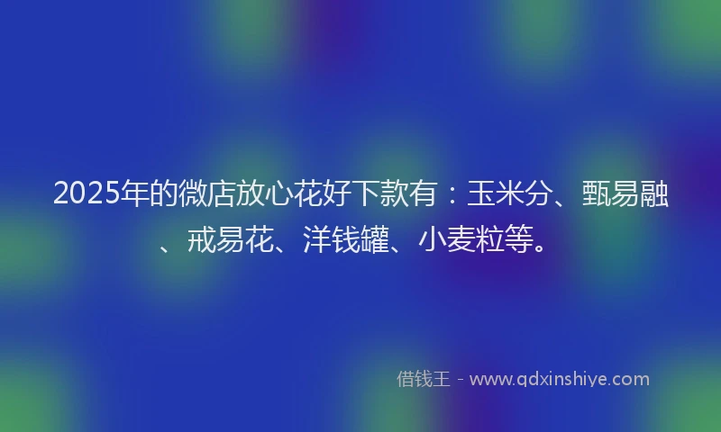 2025年的微店放心花好下款有：玉米分、甄易融、戒易花、洋钱罐、小麦粒等。