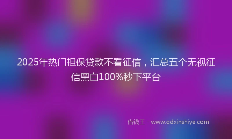 2025年热门担保贷款不看征信，汇总五个无视征信黑白100%秒下平台