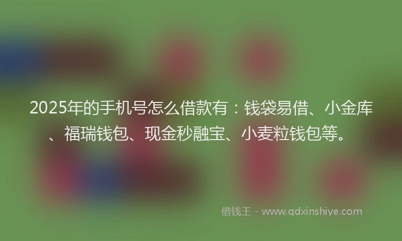 2025年的手机号怎么借款有：钱袋易借、小金库、福瑞钱包、现金秒融宝、小麦粒钱包等。