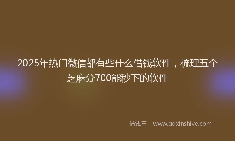 2025年热门微信都有些什么借钱软件，梳理五个芝麻分700能秒下的软件