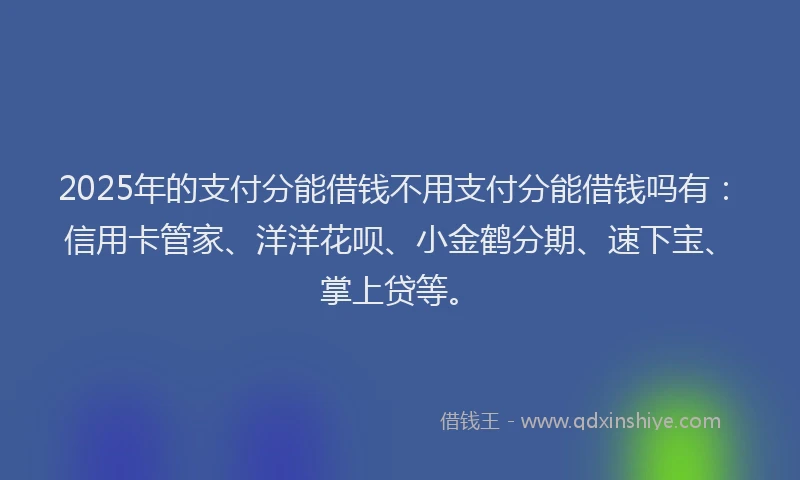 2025年的支付分能借钱不用支付分能借钱吗有：信用卡管家、洋洋花呗、小金鹤分期、速下宝、掌上贷等。