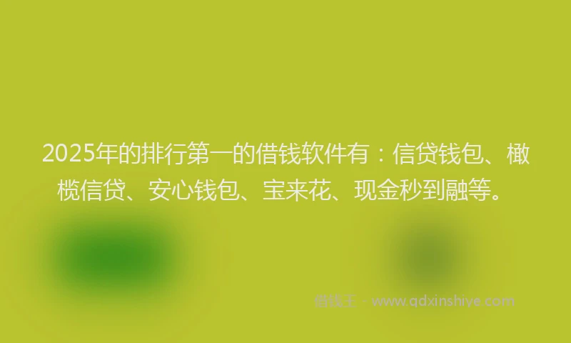 2025年的排行第一的借钱软件有：信贷钱包、橄榄信贷、安心钱包、宝来花、现金秒到融等。