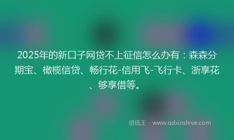 2025年的新口子网贷不上征信怎么办有：森森分期宝、橄榄信贷、畅行花-信用飞-飞行卡、浙享花、够享借等。