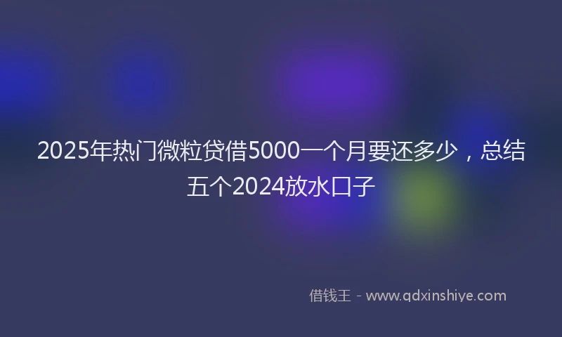2025年热门微粒贷借5000一个月要还多少，总结五个2024放水口子