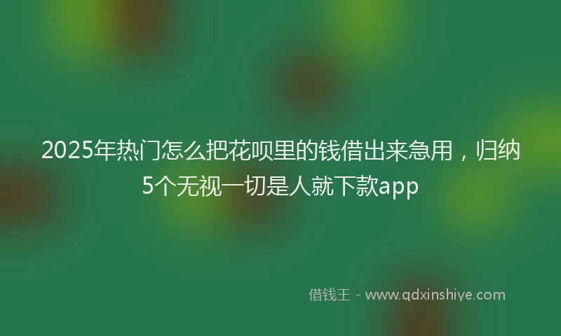 2025年热门怎么把花呗里的钱借出来急用，归纳5个无视一切是人就下款app