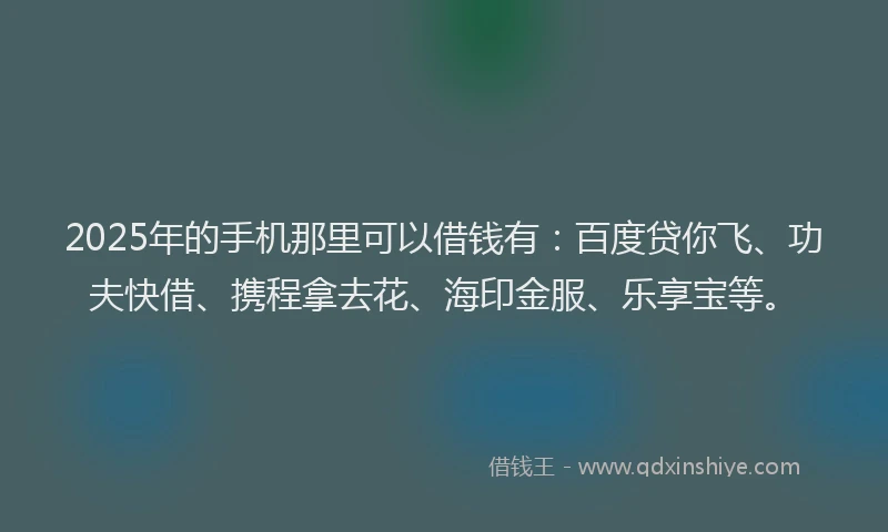 2025年的手机那里可以借钱有：百度贷你飞、功夫快借、携程拿去花、海印金服、乐享宝等。