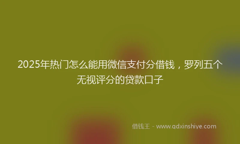 2025年热门怎么能用微信支付分借钱，罗列五个无视评分的贷款口子