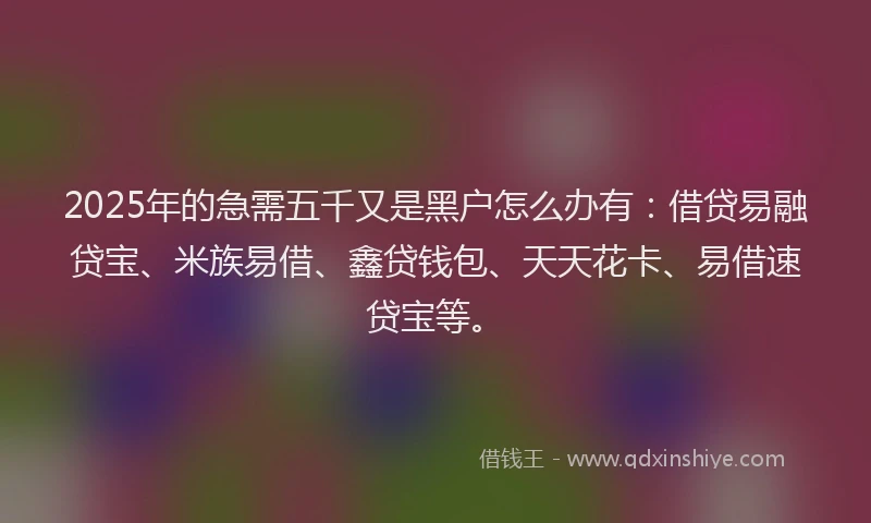 2025年的急需五千又是黑户怎么办有：借贷易融贷宝、米族易借、鑫贷钱包、天天花卡、易借速贷宝等。