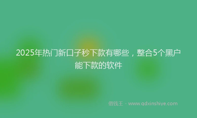 2025年热门新口子秒下款有哪些，整合5个黑户能下款的软件