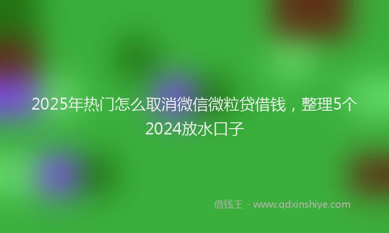 2025年热门怎么取消微信微粒贷借钱，整理5个2024放水口子