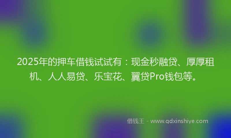 2025年的押车借钱试试有：现金秒融贷、厚厚租机、人人易贷、乐宝花、翼贷Pro钱包等。