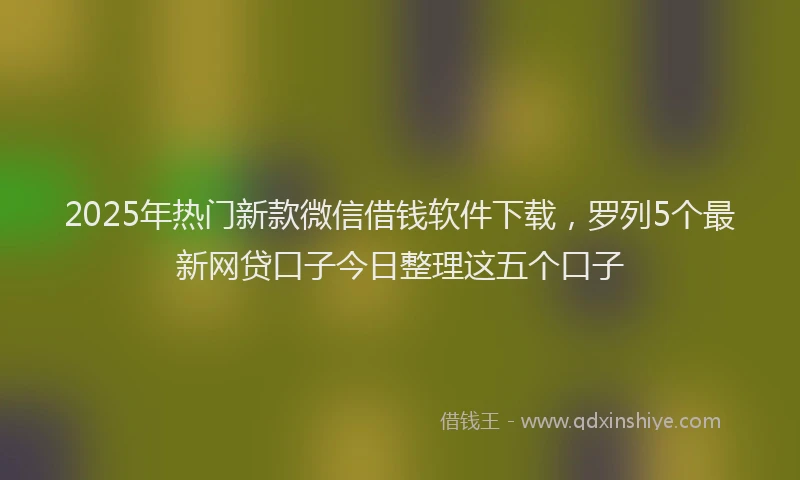 2025年热门新款微信借钱软件下载，罗列5个最新网贷口子今日整理这五个口子
