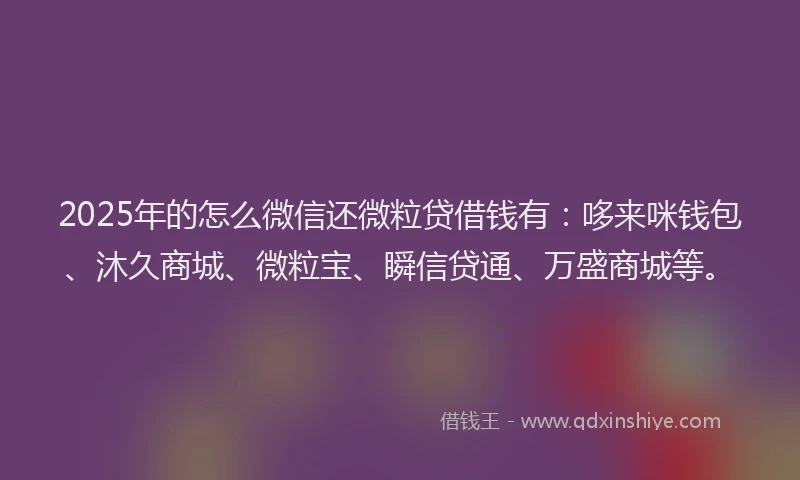 2025年的怎么微信还微粒贷借钱有：哆来咪钱包、沐久商城、微粒宝、瞬信贷通、万盛商城等。