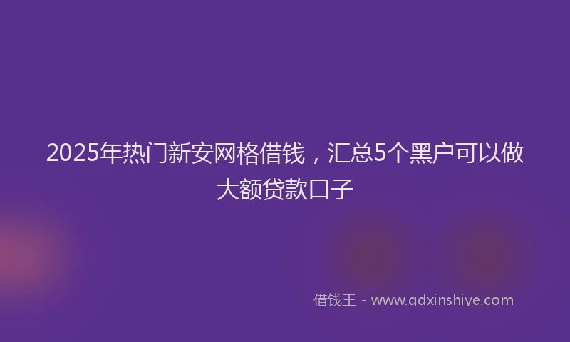 2025年热门新安网格借钱，汇总5个黑户可以做大额贷款口子