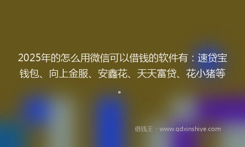 2025年的怎么用微信可以借钱的软件有：速贷宝钱包、向上金服、安鑫花、天天富贷、花小猪等。