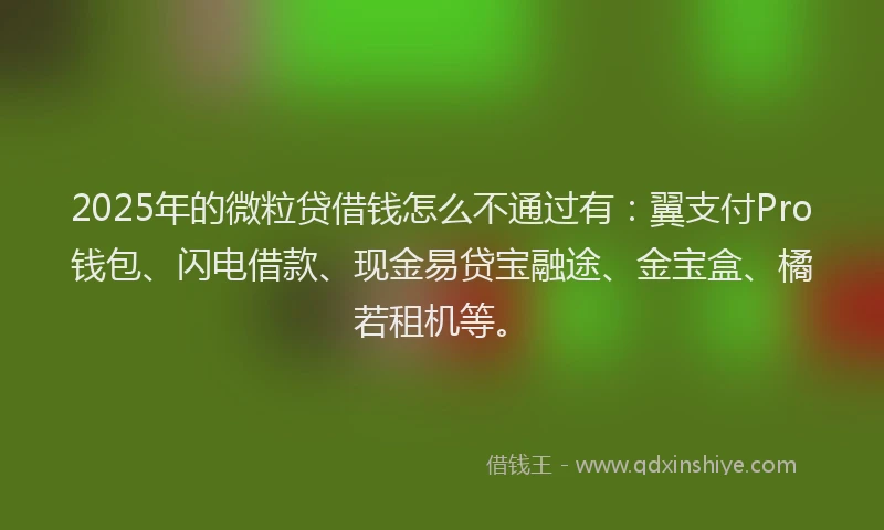 2025年的微粒贷借钱怎么不通过有：翼支付Pro钱包、闪电借款、现金易贷宝融途、金宝盒、橘若租机等。