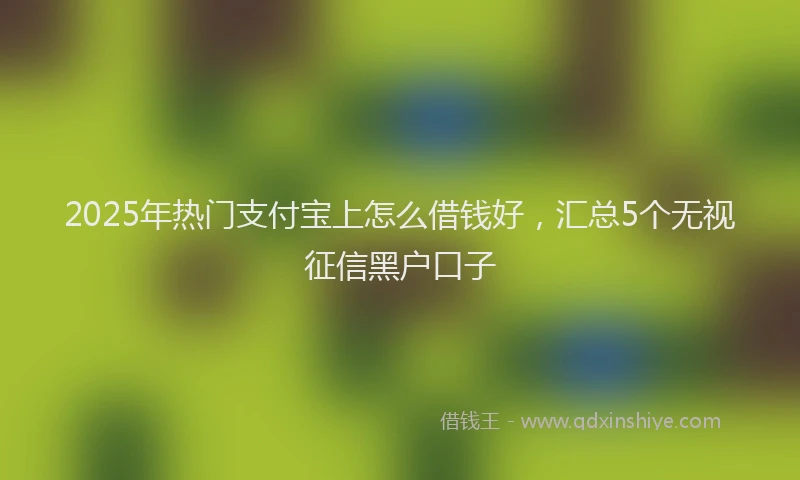 2025年热门支付宝上怎么借钱好，汇总5个无视征信黑户口子