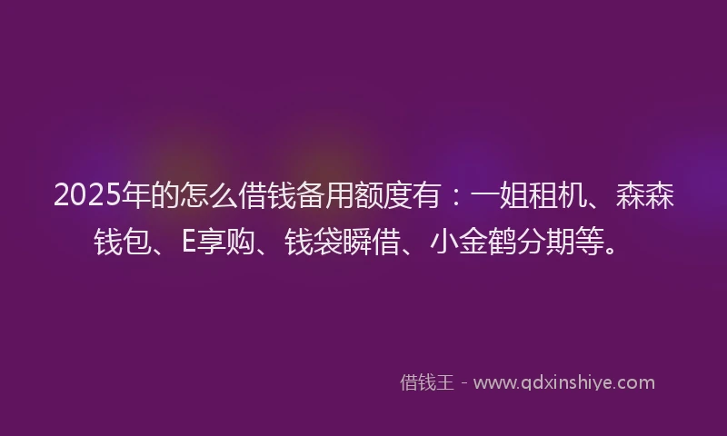 2025年的怎么借钱备用额度有：一姐租机、森森钱包、E享购、钱袋瞬借、小金鹤分期等。