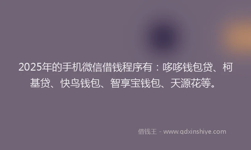 2025年的手机微信借钱程序有：哆哆钱包贷、柯基贷、快鸟钱包、智享宝钱包、天源花等。