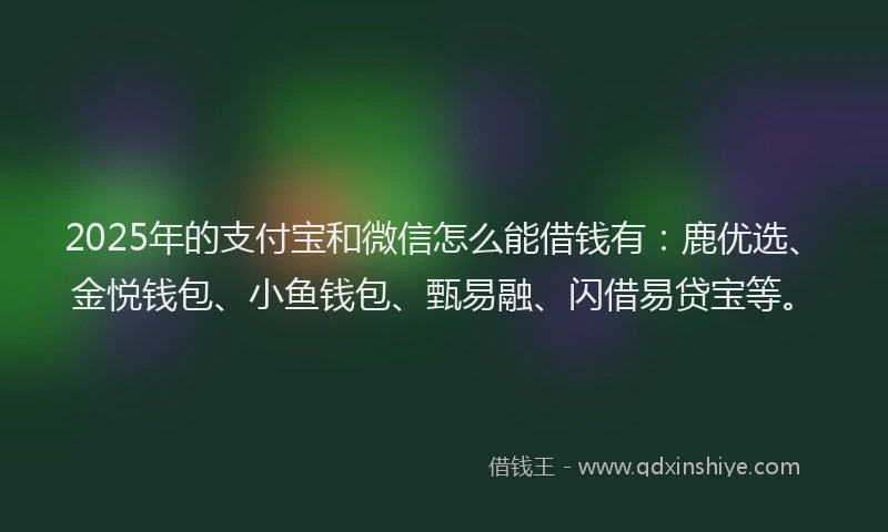 2025年的支付宝和微信怎么能借钱有：鹿优选、金悦钱包、小鱼钱包、甄易融、闪借易贷宝等。