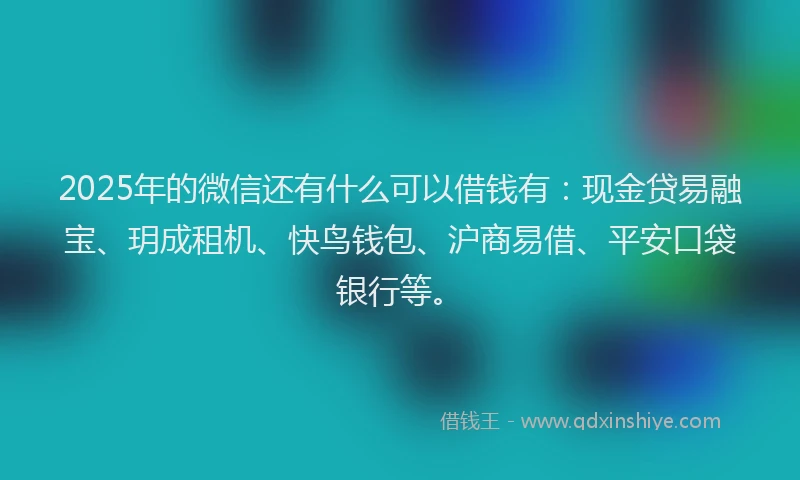 2025年的微信还有什么可以借钱有：现金贷易融宝、玥成租机、快鸟钱包、沪商易借、平安口袋银行等。