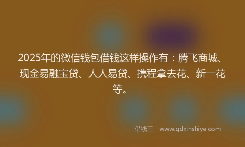 2025年的微信钱包借钱这样操作有：腾飞商城、现金易融宝贷、人人易贷、携程拿去花、新一花等。