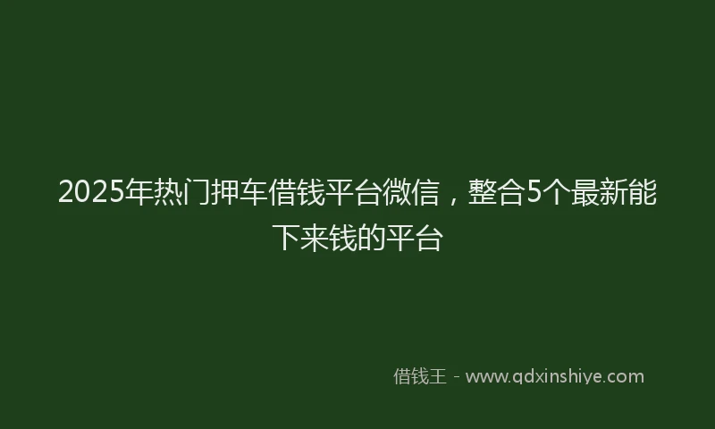 2025年热门押车借钱平台微信，整合5个最新能下来钱的平台