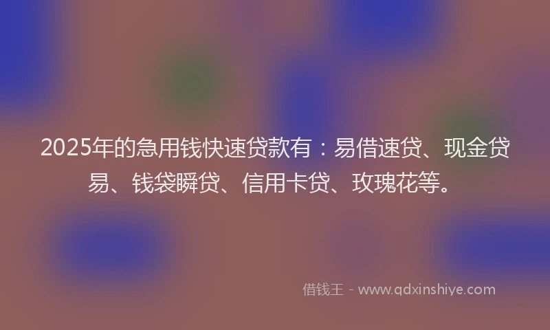 2025年的急用钱快速贷款有：易借速贷、现金贷易、钱袋瞬贷、信用卡贷、玫瑰花等。