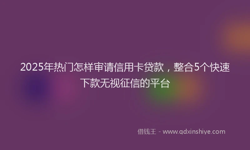 2025年热门怎样审请信用卡贷款，整合5个快速下款无视征信的平台