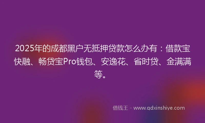 2025年的成都黑户无抵押贷款怎么办有：借款宝快融、畅贷宝Pro钱包、安逸花、省时贷、金满满等。