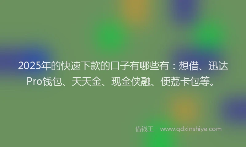 2025年的快速下款的口子有哪些有：想借、迅达Pro钱包、天天金、现金侠融、便荔卡包等。