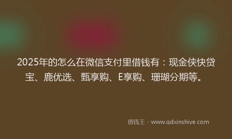 2025年的怎么在微信支付里借钱有：现金侠快贷宝、鹿优选、甄享购、E享购、珊瑚分期等。