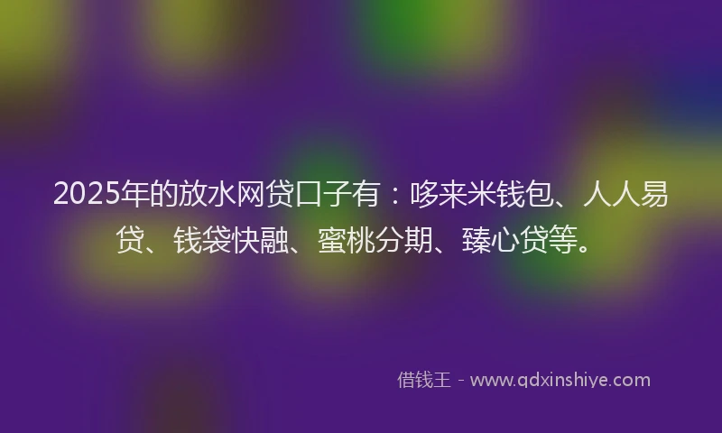 2025年的放水网贷口子有：哆来米钱包、人人易贷、钱袋快融、蜜桃分期、臻心贷等。