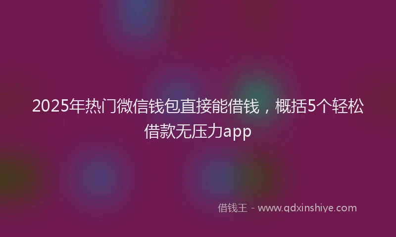2025年热门微信钱包直接能借钱，概括5个轻松借款无压力app