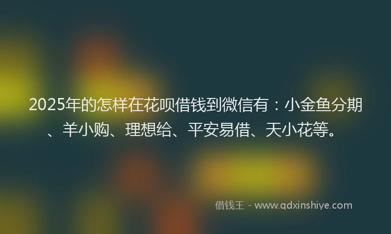 2025年的怎样在花呗借钱到微信有：小金鱼分期、羊小购、理想给、平安易借、天小花等。