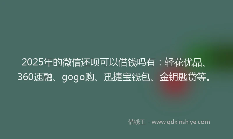 2025年的微信还呗可以借钱吗有：轻花优品、360速融、gogo购、迅捷宝钱包、金钥匙贷等。