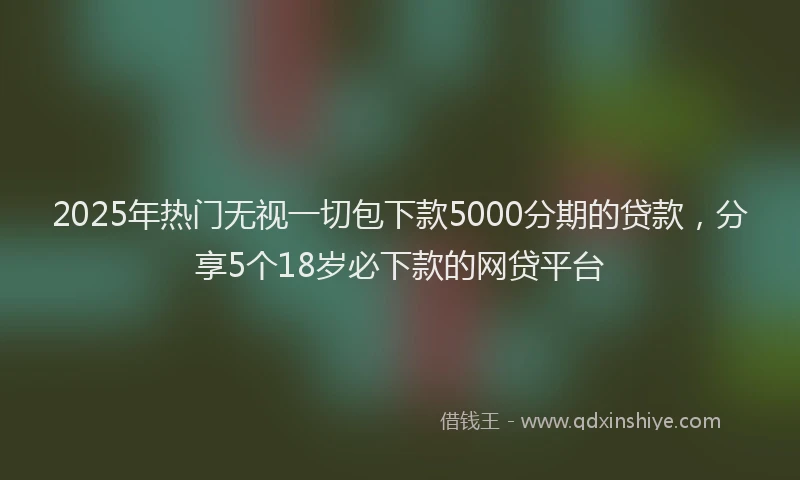 2025年热门无视一切包下款5000分期的贷款，分享5个18岁必下款的网贷平台