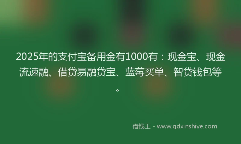 2025年的支付宝备用金有1000有：现金宝、现金流速融、借贷易融贷宝、蓝莓买单、智贷钱包等。