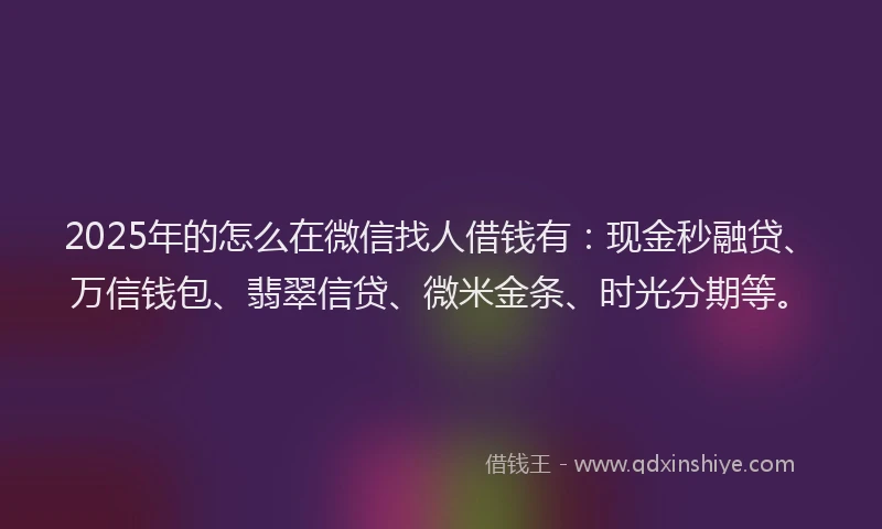2025年的怎么在微信找人借钱有：现金秒融贷、万信钱包、翡翠信贷、微米金条、时光分期等。