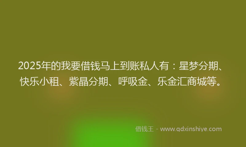 2025年的我要借钱马上到账私人有：星梦分期、快乐小租、紫晶分期、呼吸金、乐金汇商城等。
