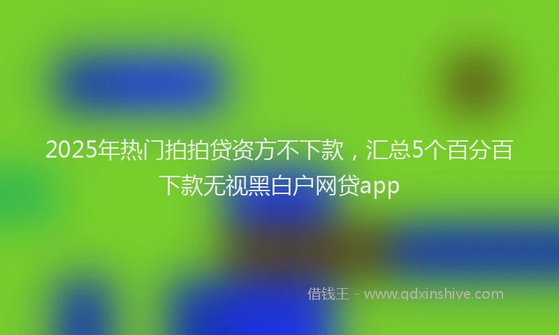 2025年热门拍拍贷资方不下款，汇总5个百分百下款无视黑白户网贷app