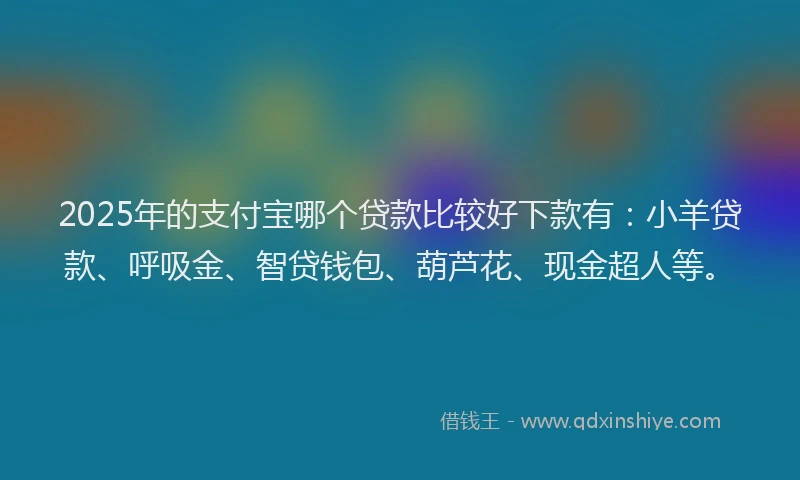 2025年的支付宝哪个贷款比较好下款有：小羊贷款、呼吸金、智贷钱包、葫芦花、现金超人等。