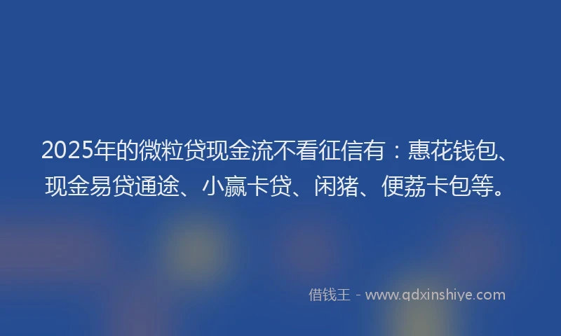 2025年的微粒贷现金流不看征信有：惠花钱包、现金易贷通途、小赢卡贷、闲猪、便荔卡包等。