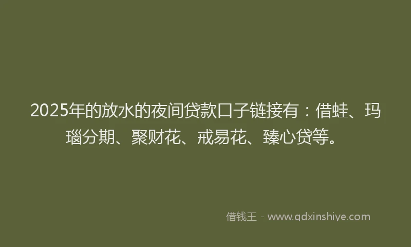 2025年的放水的夜间贷款口子链接有：借蛙、玛瑙分期、聚财花、戒易花、臻心贷等。