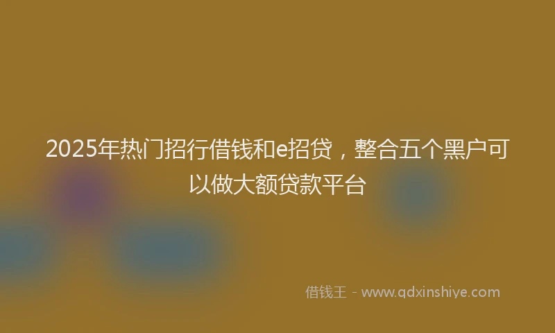 2025年热门招行借钱和e招贷，整合五个黑户可以做大额贷款平台