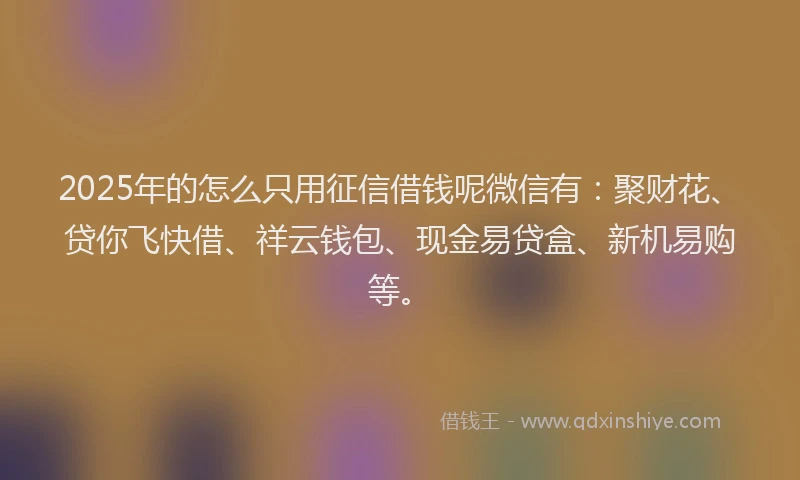 2025年的怎么只用征信借钱呢微信有：聚财花、贷你飞快借、祥云钱包、现金易贷盒、新机易购等。