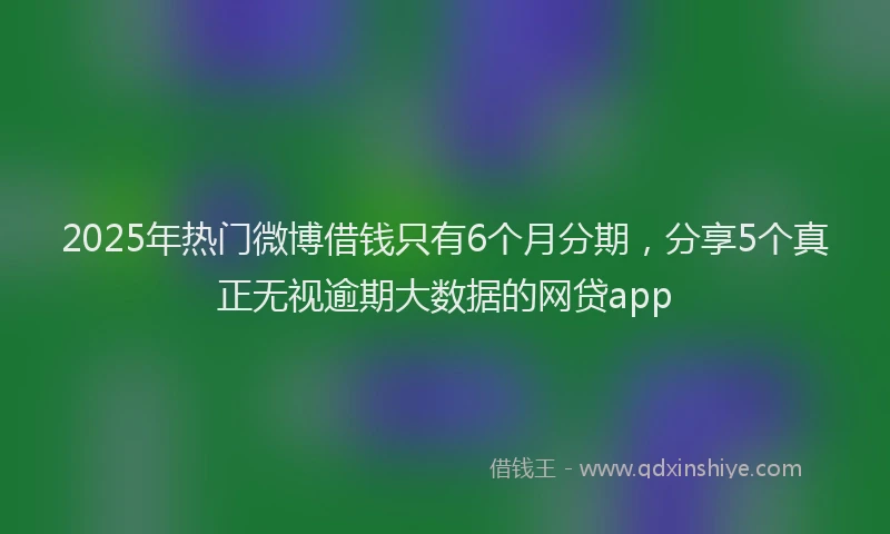 2025年热门微博借钱只有6个月分期，分享5个真正无视逾期大数据的网贷app