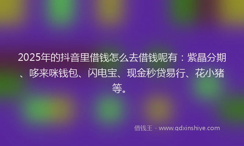 2025年的抖音里借钱怎么去借钱呢有：紫晶分期、哆来咪钱包、闪电宝、现金秒贷易行、花小猪等。